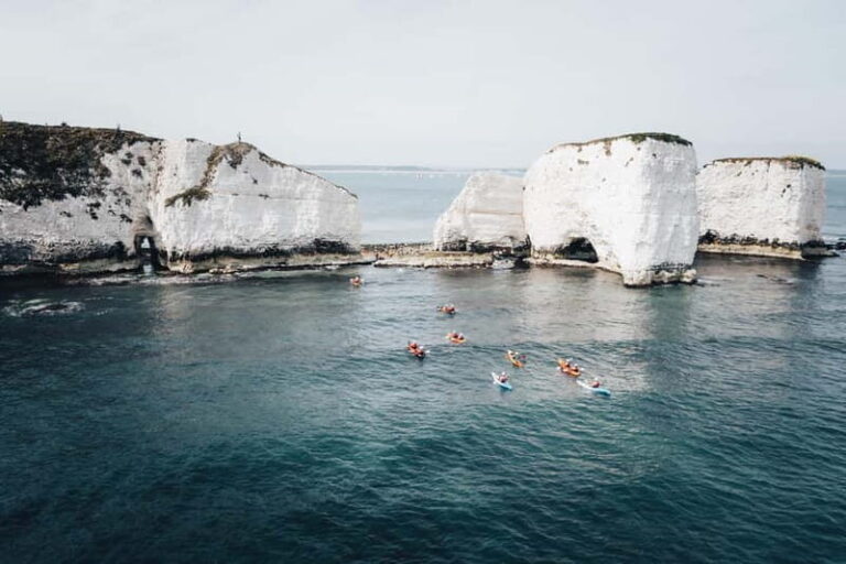Jurassic Coast Kayaking Tour to Old Harry Rocks - Itinerary Breakdown: What to Expect