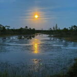 Jurmala: Kemeri National Park Sunset Trip - A Detailed Look at the Tour Experience