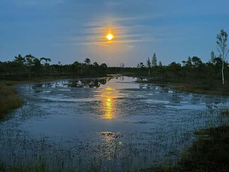 Jurmala: Kemeri National Park Sunset Trip - A Detailed Look at the Tour Experience