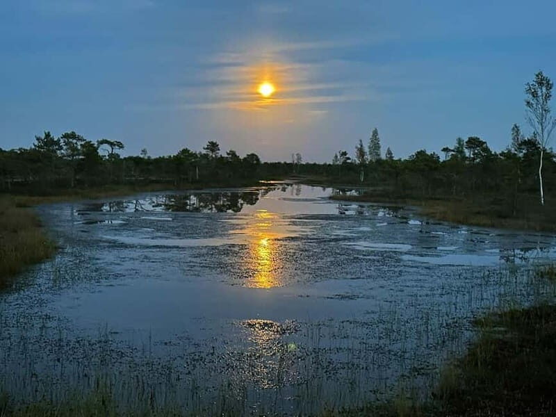 Jurmala: Kemeri National Park Sunset Trip - A Detailed Look at the Tour Experience