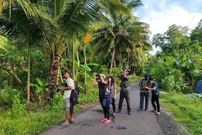 Kalapathar Sunrise, Birdwatching and Village Tour - Kalapathar Sunrise, Birdwatching and Village Tour: A Natural Gem on Havelock Island