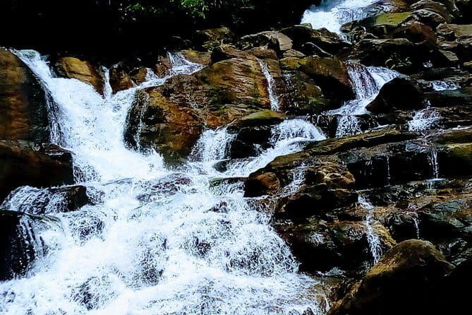 Kanneliya Rain Forest Tour - Exploring the Kanneliya Rainforest: A Complete Review