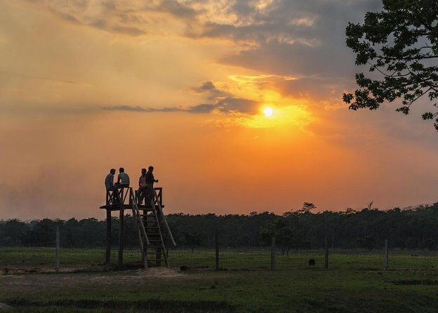 Kathmandu Chitwan Pokhara Tour - Kathmandu Chitwan Pokhara Tour: An In-Depth Review