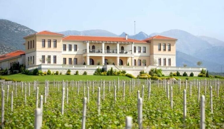 Kavala: VinoTour - Wineries Private Tour - Detailed Breakdown of the Experience