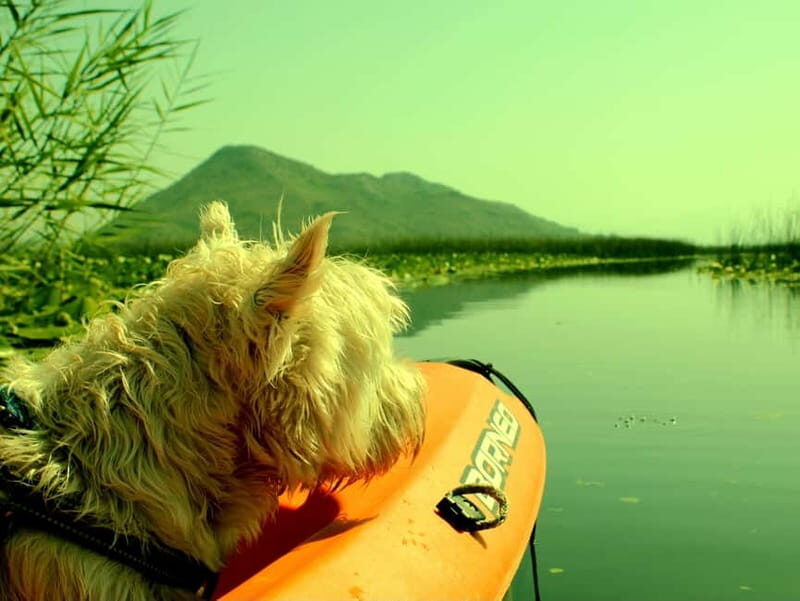 Kayak Adventure: Paddle your way through Lake Skadar - The Practical Side: Logistics and Equipment