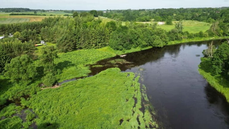 Kayak at the Latvian-Lithuanian border, biggest inland dune - Practical Details and Logistics