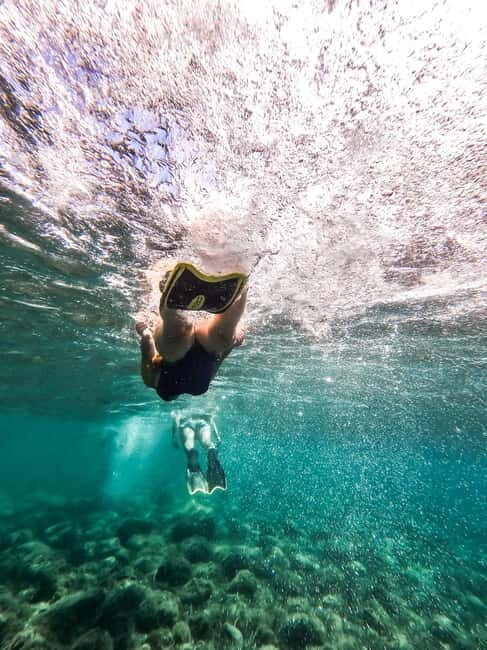 Kayak&Snorkel Tour - The Secret of the Posidonia - What to Expect from the Kayak & Snorkel Tour