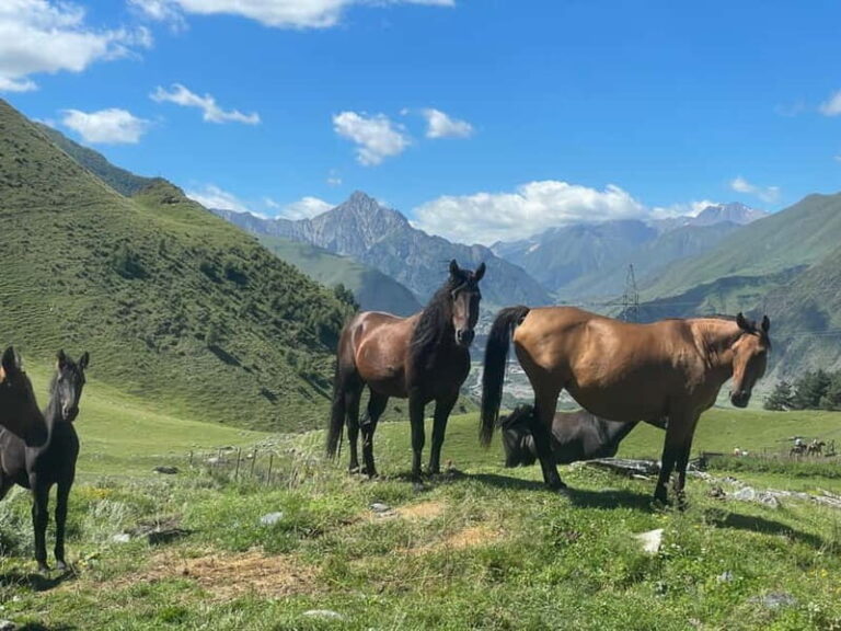 Kazbegi:Sunset Horse Riding Tour from Rooms Hotel Kazbegi - The Ride Itself: What to Expect
