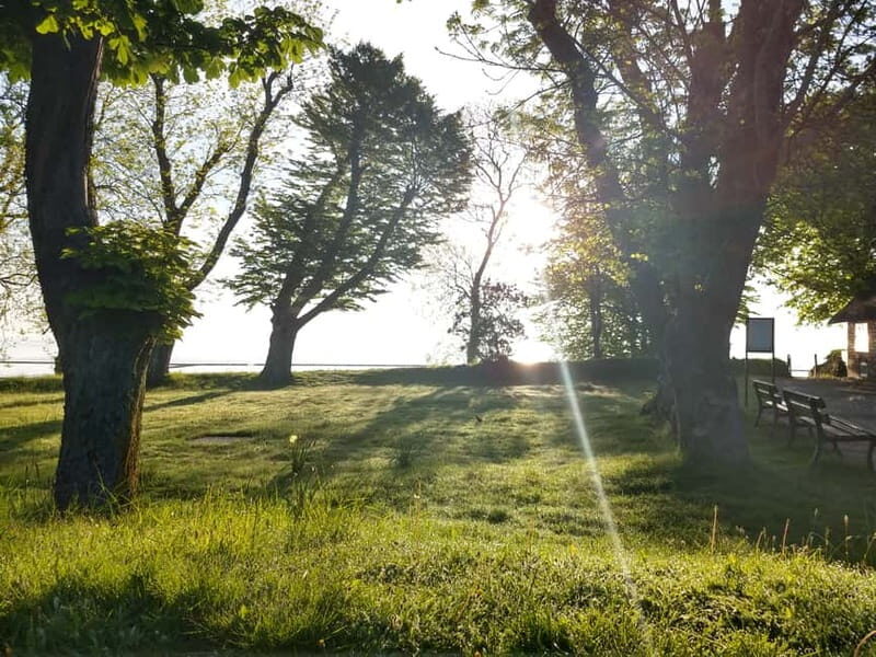 Keitum: Guided Village Walking Tour - Who Will Love This Experience?