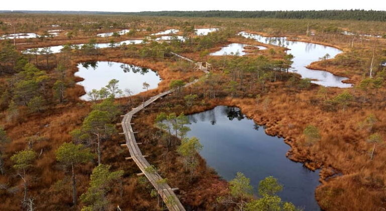 Kemeri National Park & Baltic Seaside Tour Bog Boardwalk - Detailed Breakdown of the Itinerary