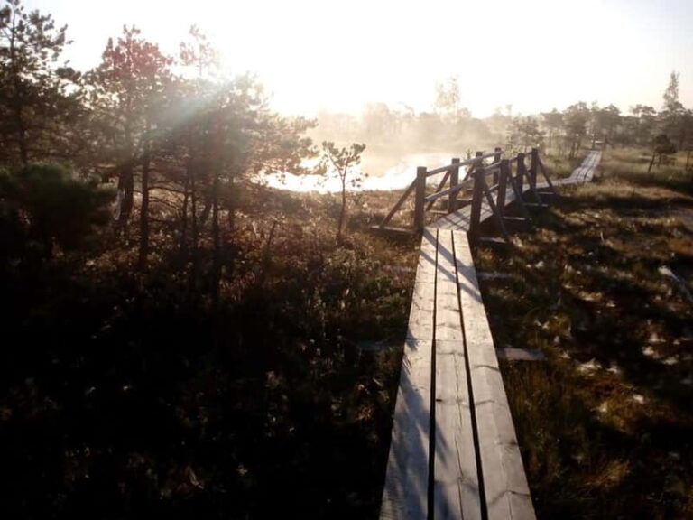 Kemeri National Park Bog Trail near Riga - A Well-Organized, Guided Experience