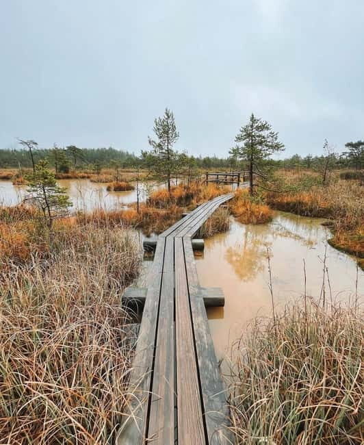 Kemeri National Park Guided Tour - The Value and Practicalities