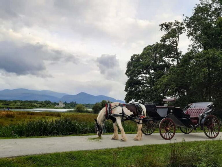 Killarney National Park Tour - An In-Depth Look at the Killarney National Park Tour