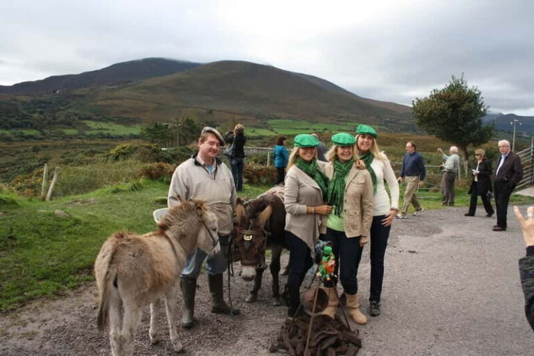 Killarney: Ring of Kerry Bus Tour - Transportation, Group Size, and Value