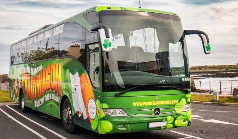 Kinsale: Blarney Castle & Cobh Half Day Tour in Cork - Authentic Traveler Insights
