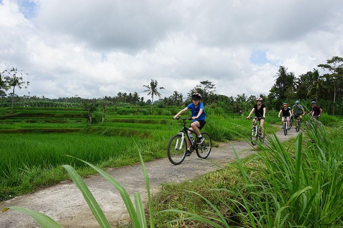 Kintamani Cultural and Nature Cycling Tour ( Manual Bike ) - Kintamani Cultural and Nature Cycling Tour (Manual Bike) Review