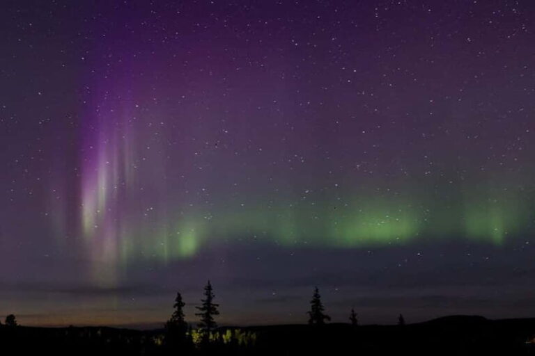 Kiruna: Northern Lights Dog Sled Tour with Swedish Fika - Practical Details and Value