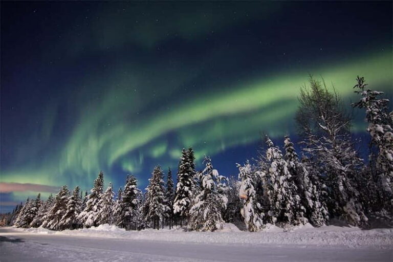 Kiruna: Snowshoe Trek with Aurora Hunt and Warm Beverage - Pricing & Value