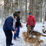 Kittilä / Levi: Husky Farm Guided Tour - The Reality Behind the Experience