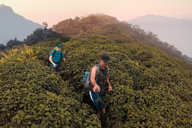 Knuckles Mountain Range Hiking and Trekking Day Tour From Kandy Hotels - Key Points