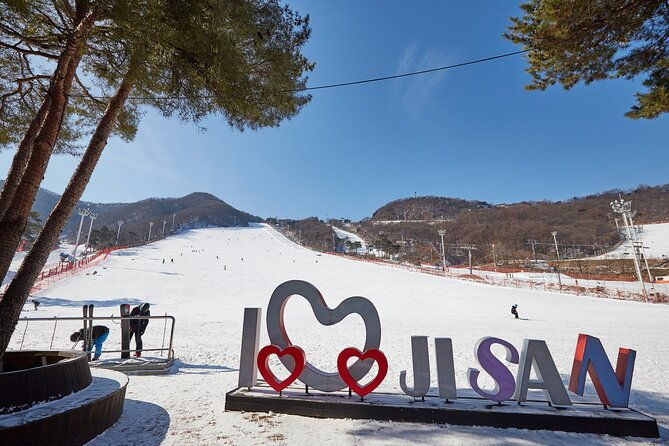 Korea Ski Tour from Seoul - Jisan Forest Resort - The Experience in Detail