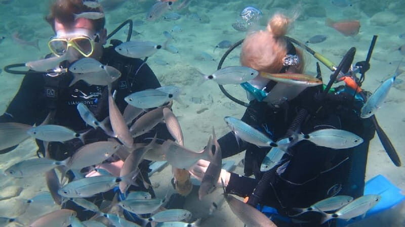 Kos: Beginner Scuba Diving at Pserimos Island - The Dive Itinerary, Step by Step