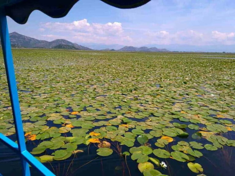 Kotor: Skadar Lake National Park with Wine Tasting - Practical Details and Value
