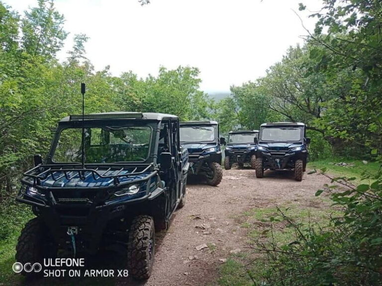 Kotor: Wild Safari & Panorama Adventure with Buggy - Final Thoughts: Is It Worth It?