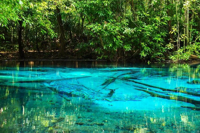 Krabi Jungle Full day Adventure Tour with Lunch (SHA Plus) - Key Points  
