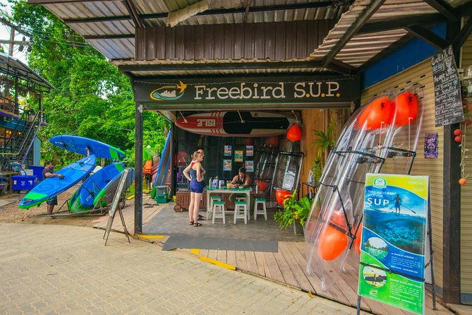 Krabi Stand-Up Paddleboard Illuminated Night Tour - What Makes the Krabi Night Paddleboard Tour Special?