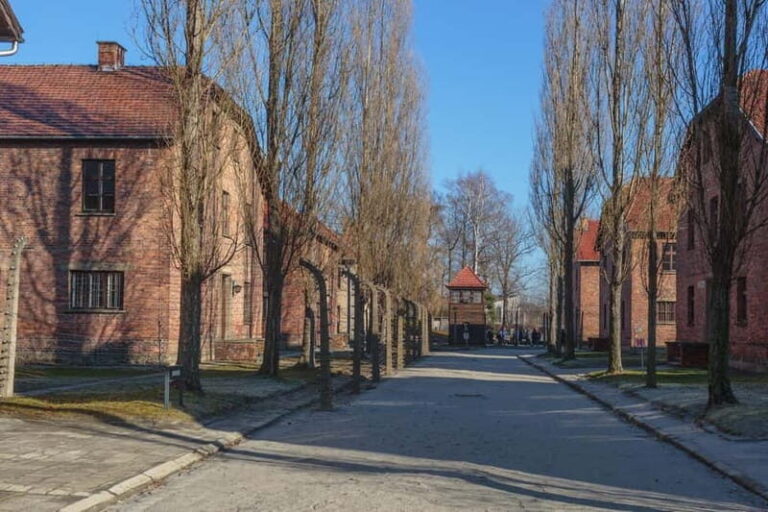 Krakow: Auschwitz-Birkenau Entry Ticket and Transfer - Who Would Love This Tour?