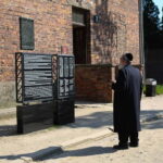 Krakow: Auschwitz-Birkenau Private Guided Tour - Authentic Experience: What We Learned from the Reviews