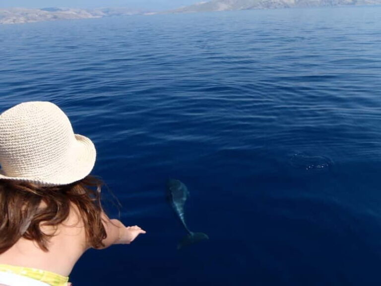 Krk: Boat Trip to Rab & Pag with Sightseeing & Swimming - Practical Details and Value