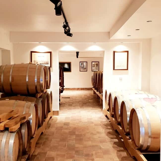 Krk: Family-Owned Winery Tour and Tasting - The Experience: What Youll Take Away