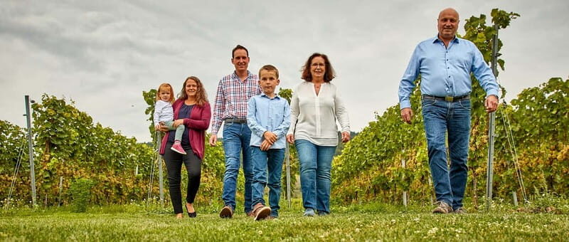 Kröv/Gut Hermes: Wine tour & tasting through the vineyard, winery, and sparkling wine production facility - A Closer Look at the Tour Experience