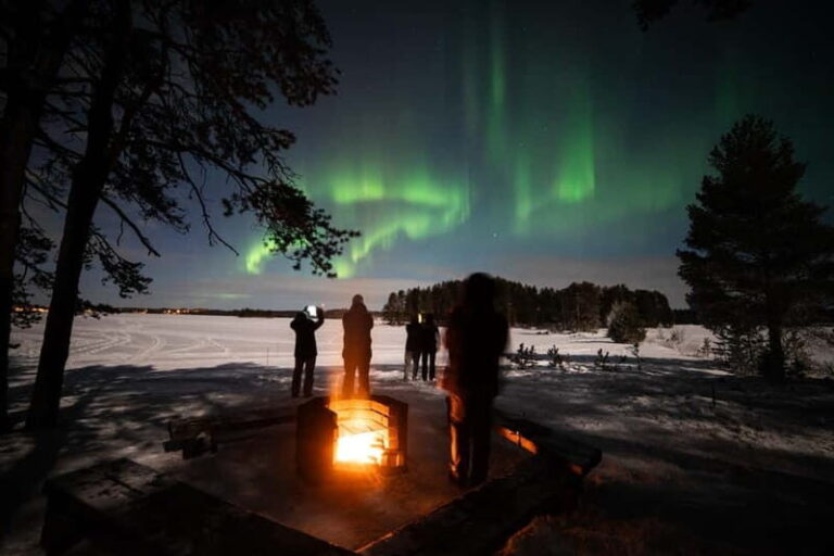 Kuhmo: Aurora Hunting by Car - What to Expect From the Kuhmo Aurora Hunting Tour