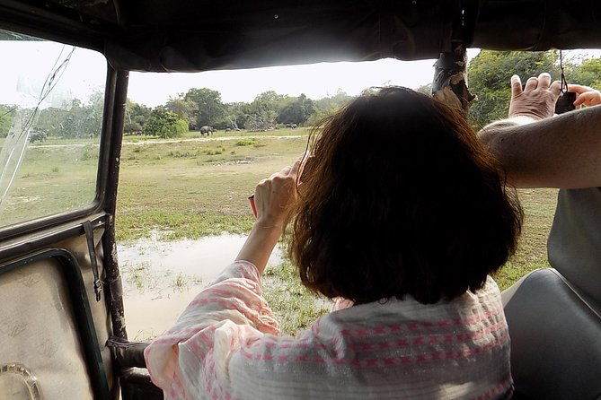 Kumana National Park Wildlife Safari - Exploring the Kumana National Park Wildlife Safari: An Honest Review