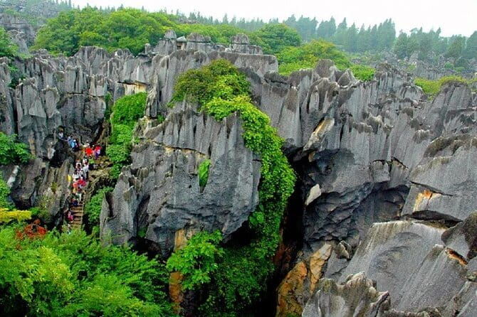 Kunming Stone Forest + Kunming City Private Tour - Key Points