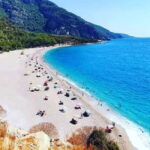 Kusadasi National Park Shinrin Yoku Tour - The Value of Guided Expertise