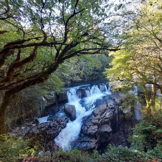 Kutaisi: Okatse-Martvili Canyons,Prometheus Cave, Waterfalls - Why This Tour Offers Great Value