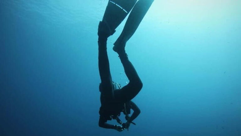 La Maddalena & Lavezzi: Full-Day Boat Scuba Diving Trip - What You Can Expect from the Experience
