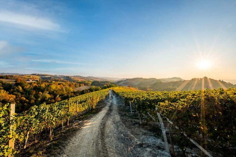 La Morra: A Journey through Barolo's Finest Vintages - The Tour: A Step-by-Step Breakdown