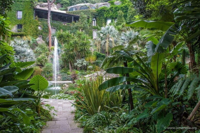 La Mortella Gardens excursion from Ischia - Detailed Breakdown of the Itinerary