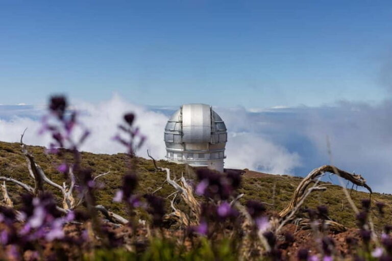 La Palma: Let's go to Roque Observatory & Visitor Centre - Real Insights from Reviewers