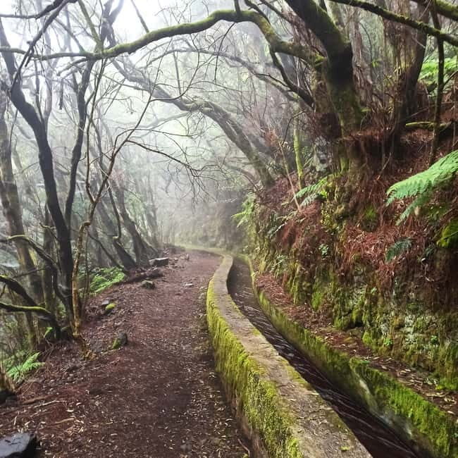 La Palma: Springs Marcos y Cordero Guided Trekking Tour - Transportation and Practical Details