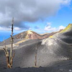 La Palma: Tajogaite Volcano Guided Hike - Discovering La Palma’s Volcanic Heart
