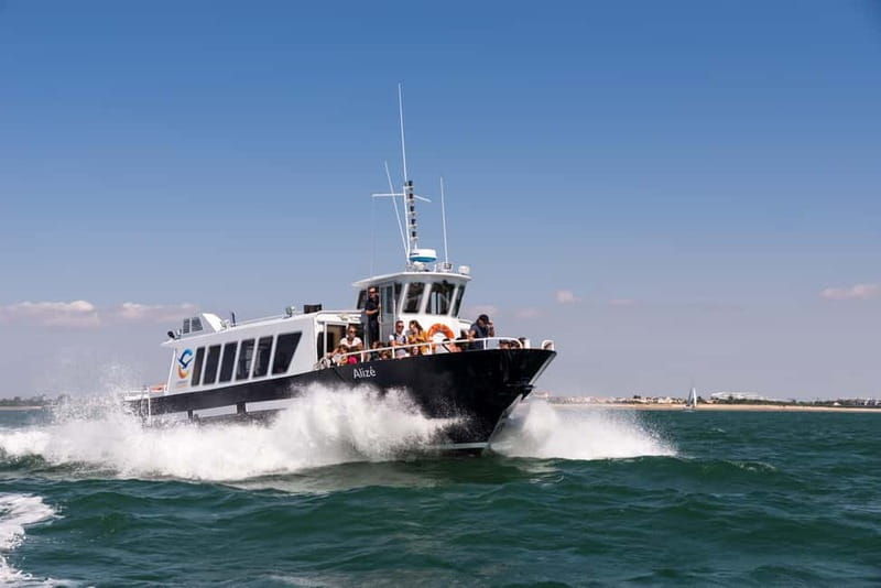 La Rochelle and its 3 ports (1h45) - La Rochelle and its 3 Ports (1h45): A Complete Guide