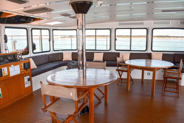La Rochelle : Catamaran Tour - The Value of the Experience