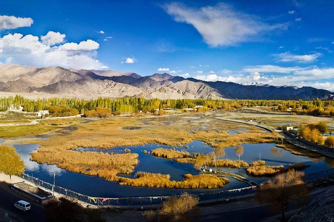 Ladakh 5-Star Premium Tour 7 Days - Introduction to the Tour and Its Highlights