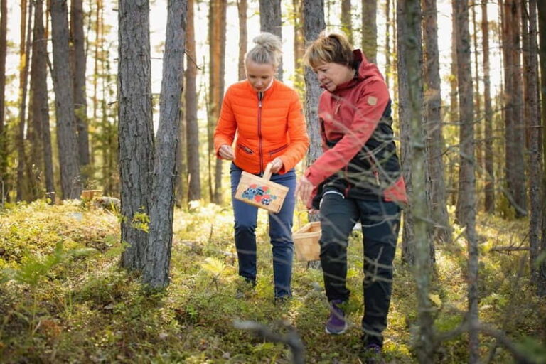 Lahti: Wild Food Foraging Tour with Tastings - What to Expect During the Foraging Experience